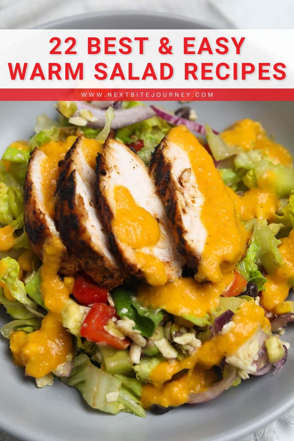 Chipotle Chicken Salad With Mango Dressing