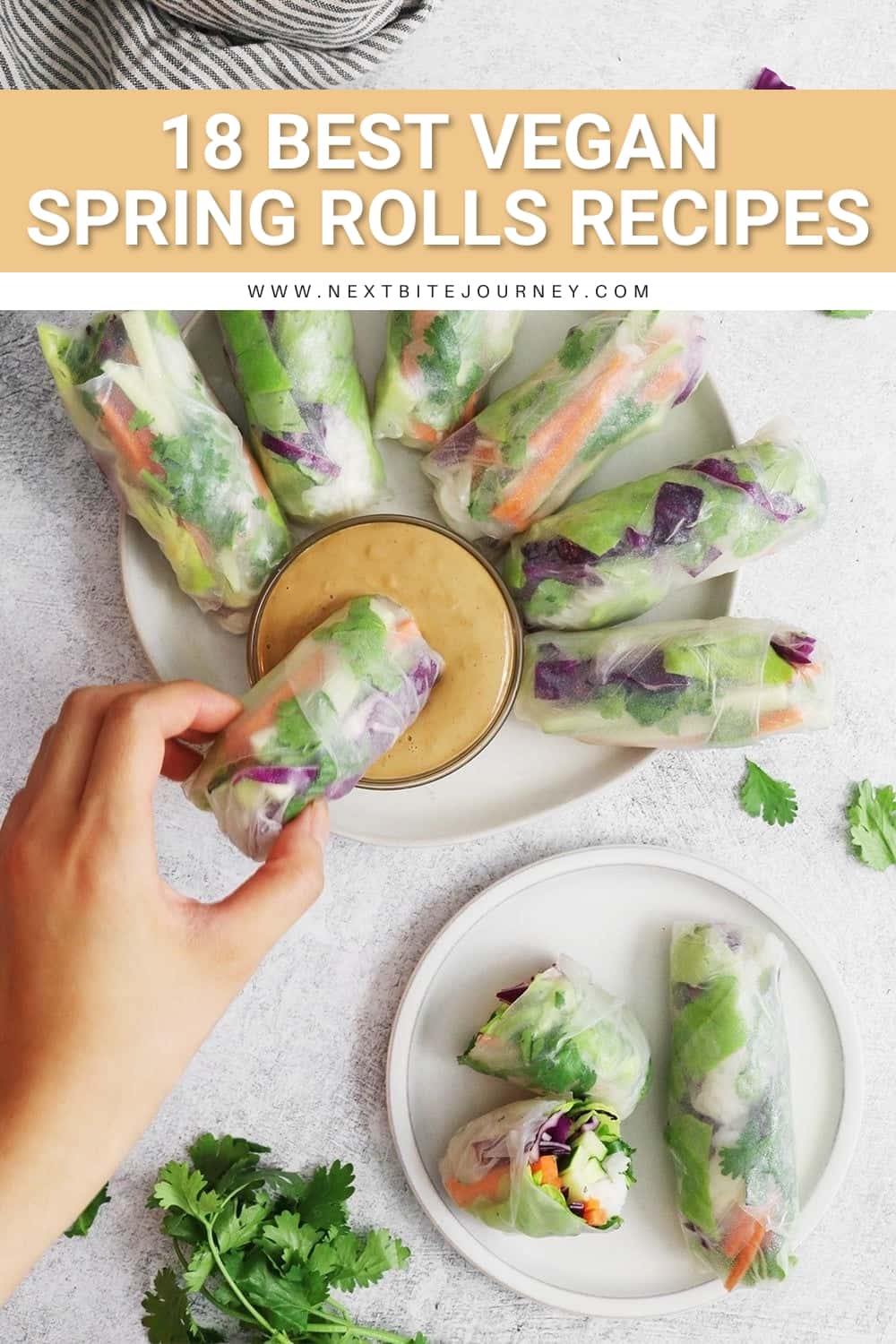 Easy to Make Vegan Fresh Spring Rolls with Peanut Sauce