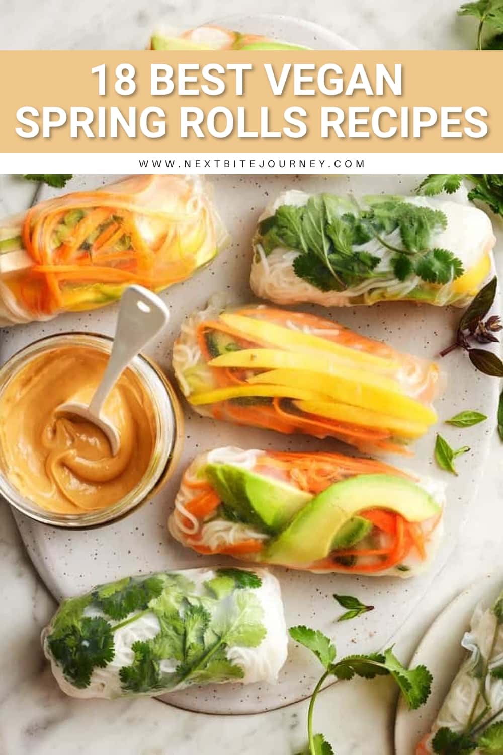 Fresh Spring Rolls Recipe with Noodles, Tofu, Veggies, Herbs, and Peanut Sauce