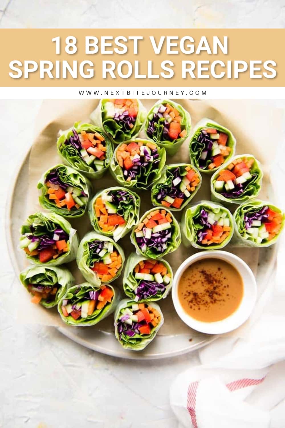 Fresh Vegan Vegetable Spring Rolls at Home