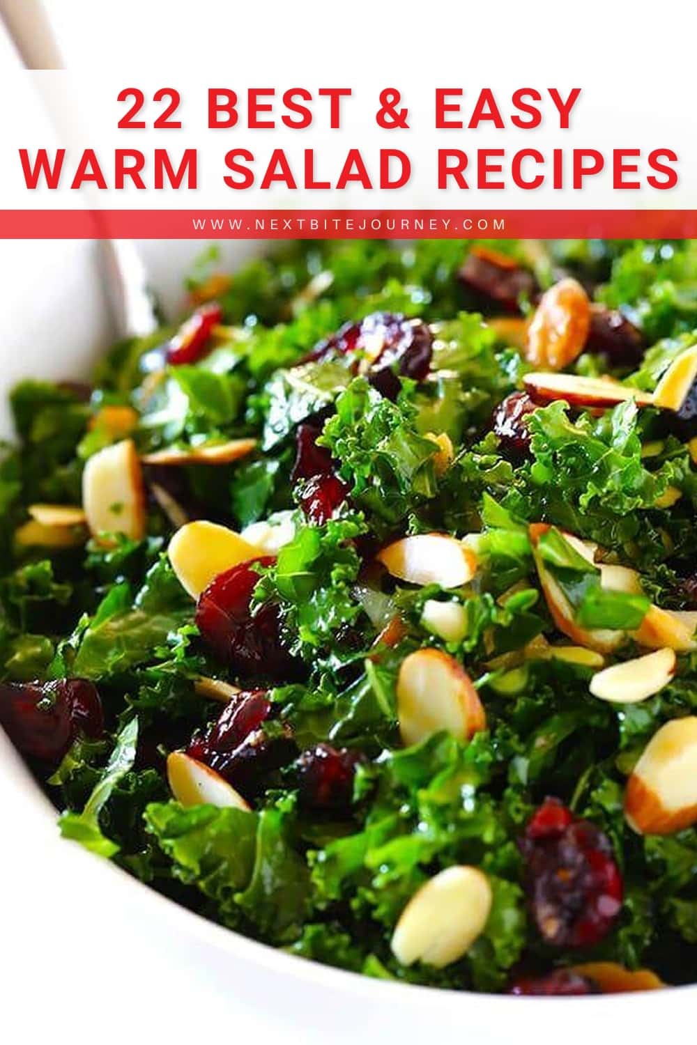 Kale Salad with Warm Cranberry Vinaigrette