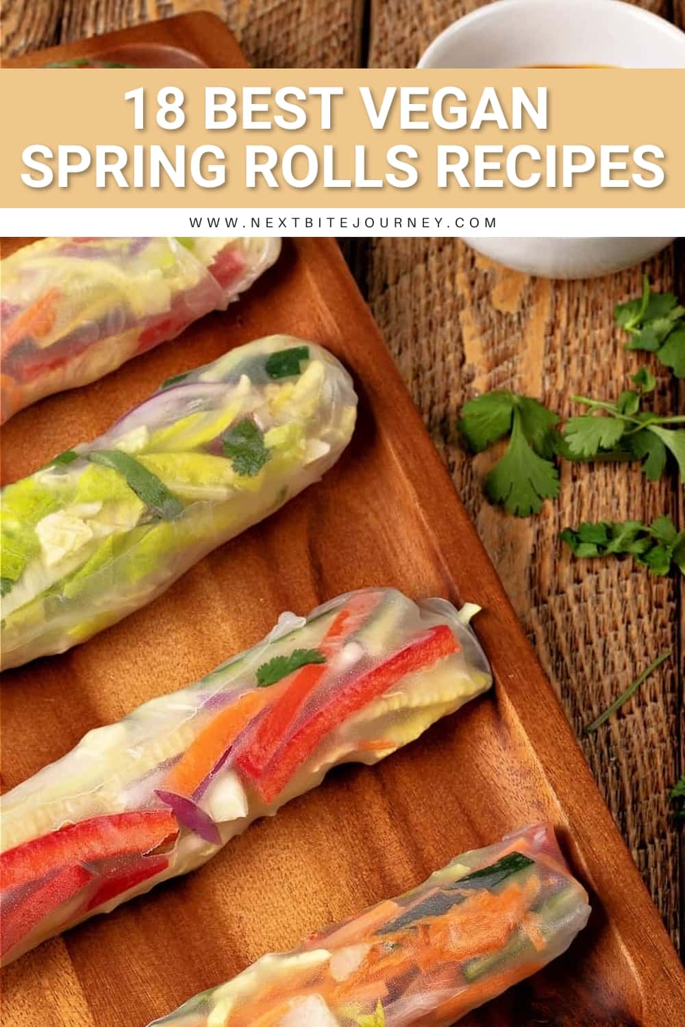 No-cook Vegan Spring Rolls Asian Recipe