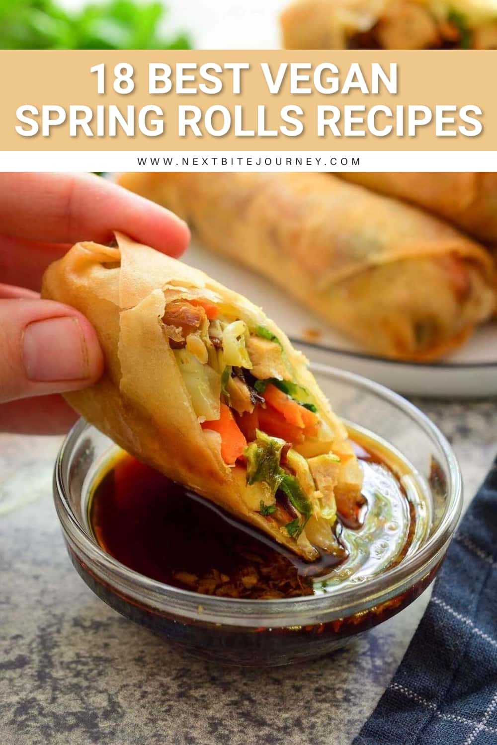 Vegetarian Spring Rolls with Cilantro